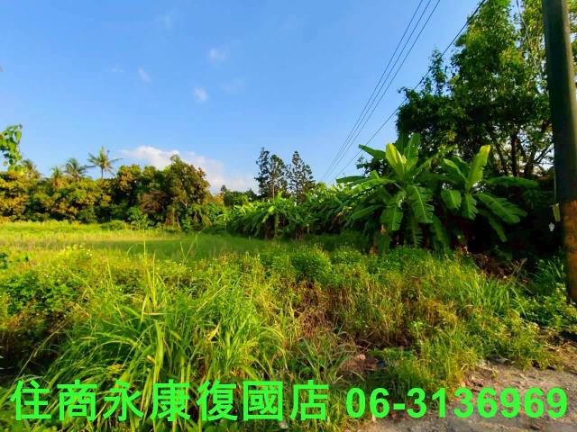 台南新化農地-6