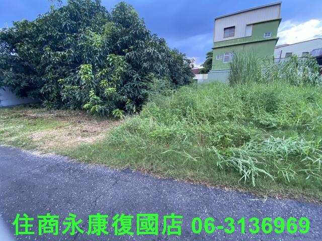 台南大內建地-9