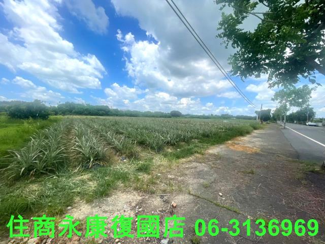 台南山上農地-1