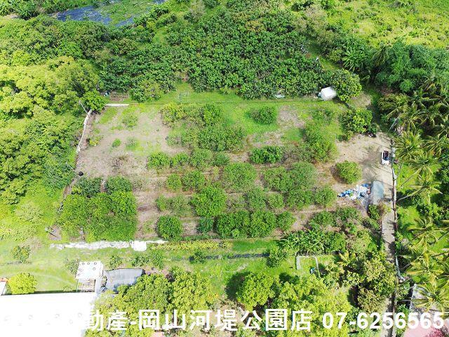 高雄橋頭農地-1