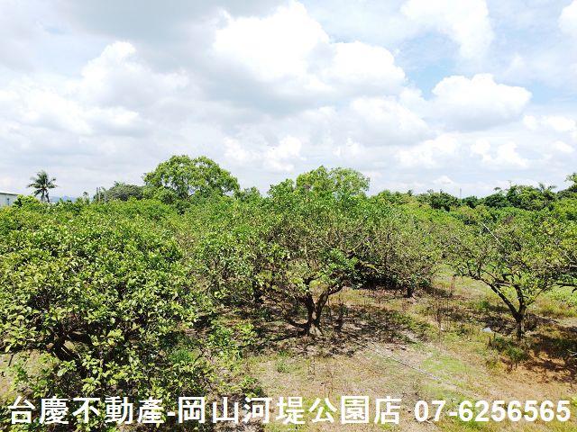 高雄橋頭農地-7