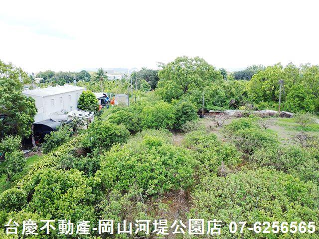 高雄橋頭農地-8