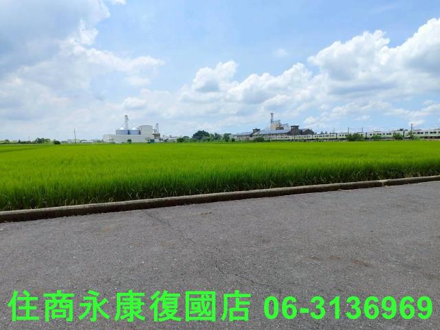 台南六甲農地-11