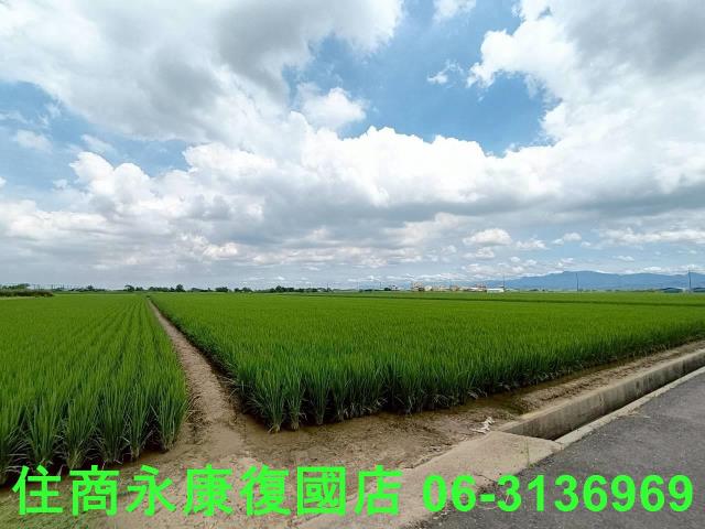 台南六甲農地-4