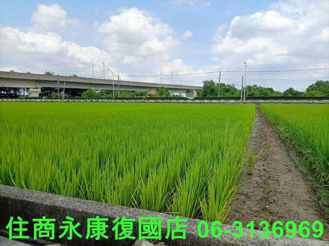 台南六甲農地-1