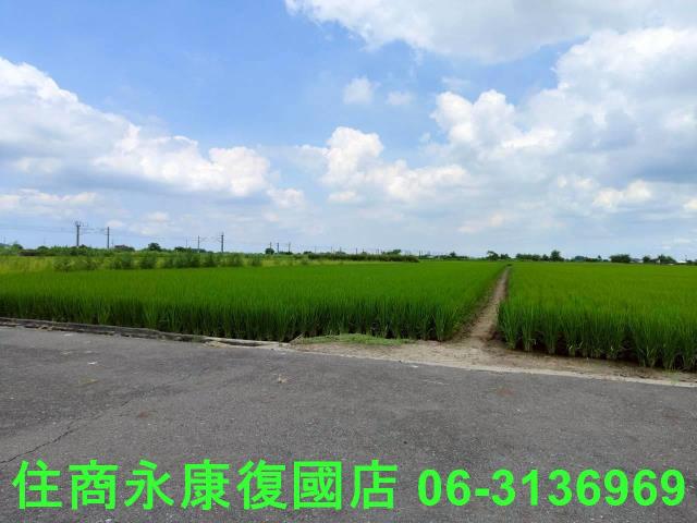 台南六甲農地-8