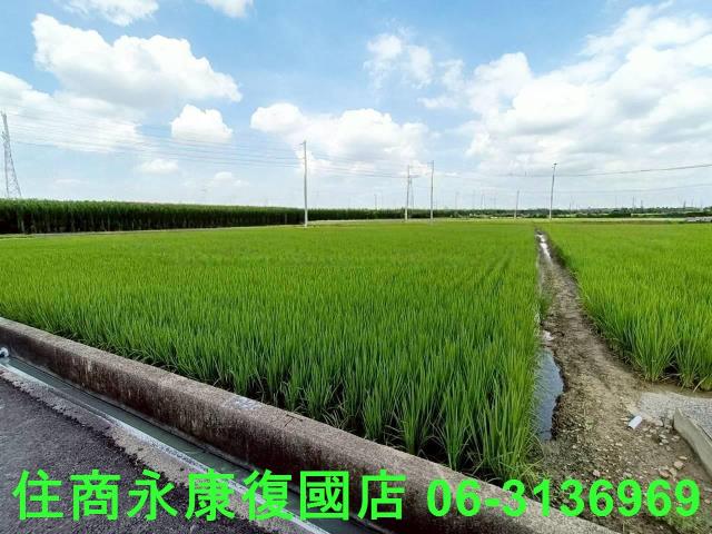 台南六甲農地-2