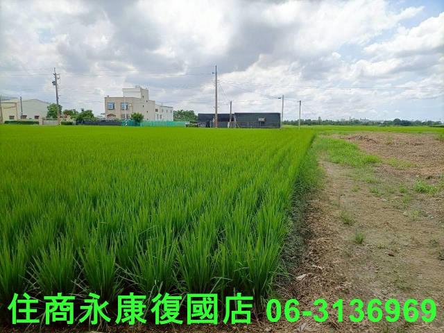 台南六甲農地-5