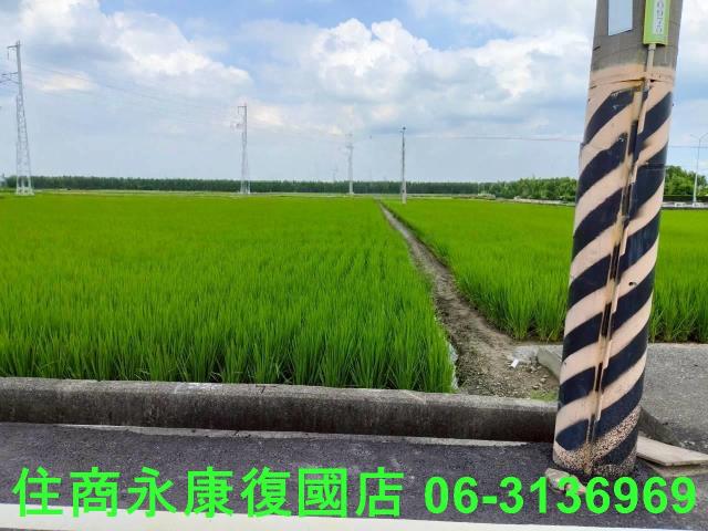 台南六甲農地-8