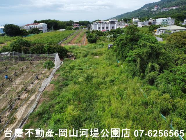 高雄阿蓮農地-10
