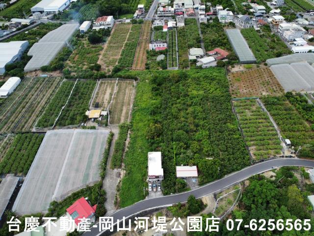 高雄阿蓮農地-2