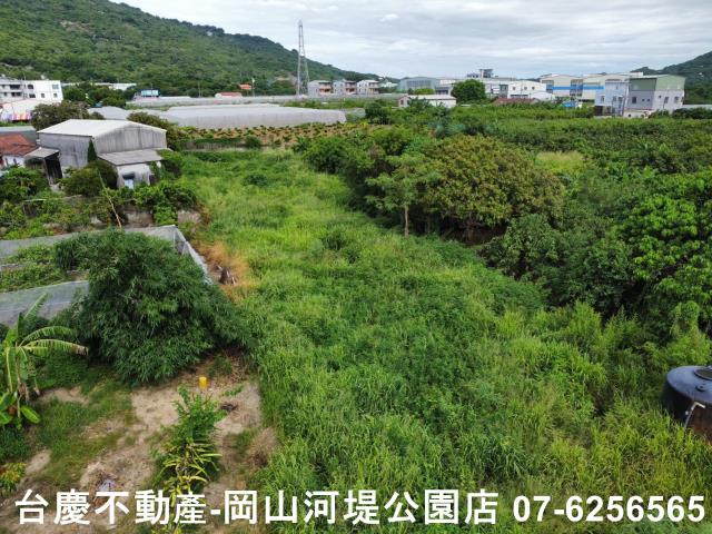高雄阿蓮農地-8
