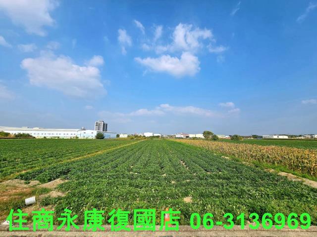 台南新化農地-1