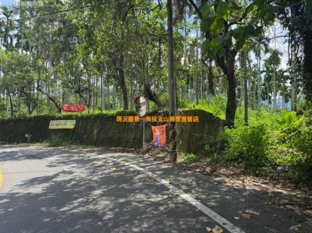 南投中寮農地-9