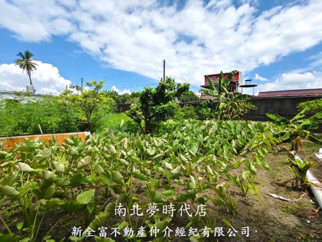 左鎮農地-1