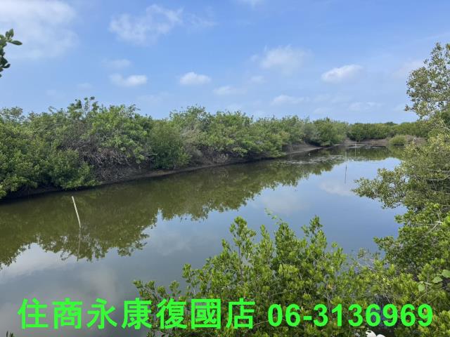 安南農地-4