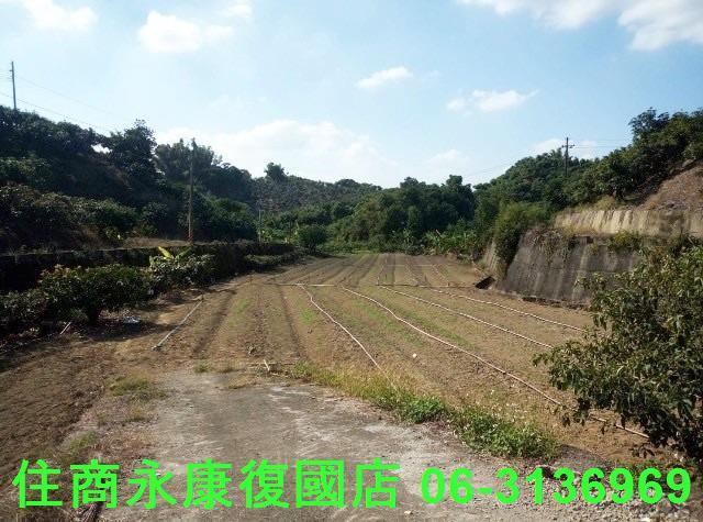 南化農地-4