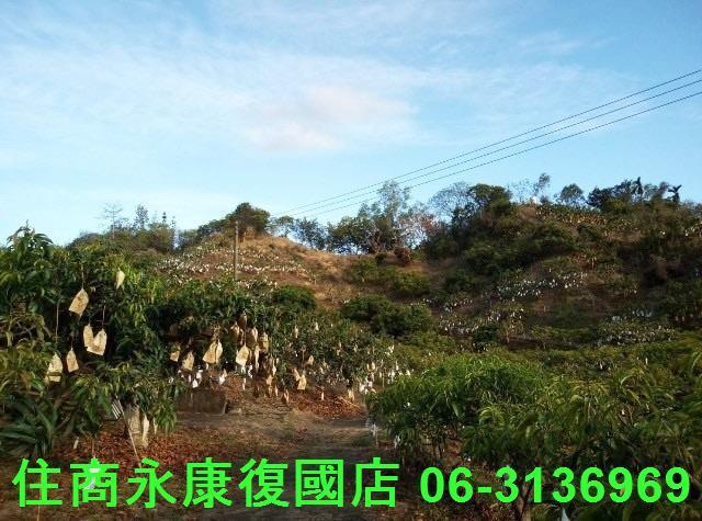 南化農地-9