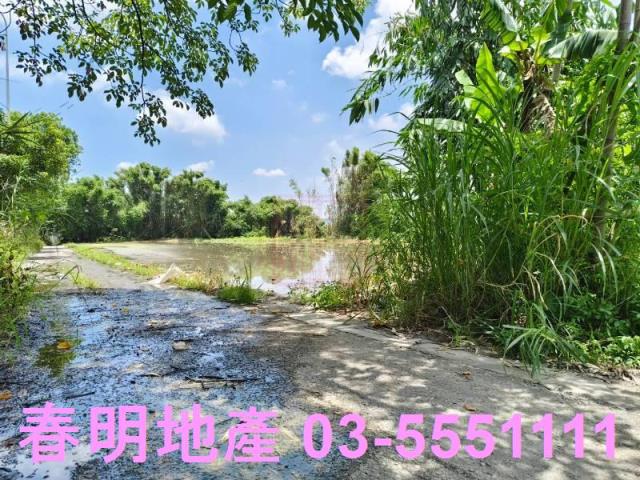竹東農地-11