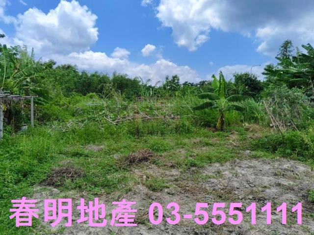 竹東農地-2