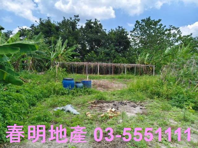 竹東農地-3