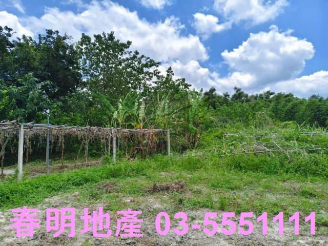 竹東農地-4
