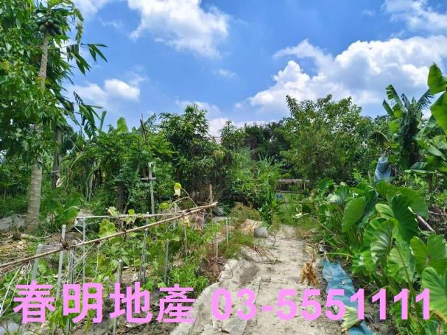 竹東農地-5