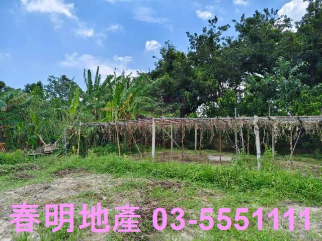 竹東農地-7