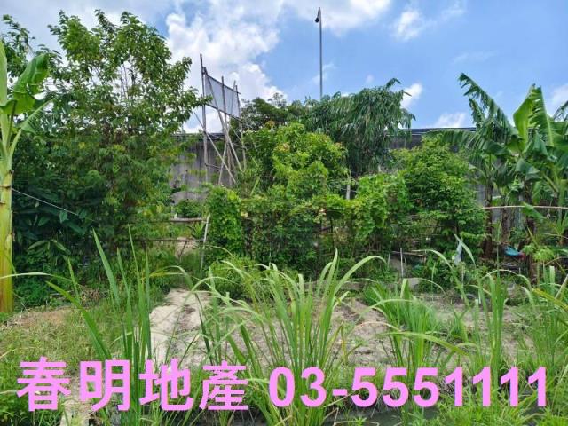 竹東農地-9