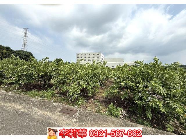 山上工業地-6