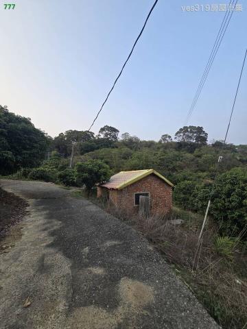 大樹農地-2