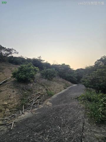 大樹農地-3