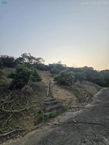 大樹農地-4