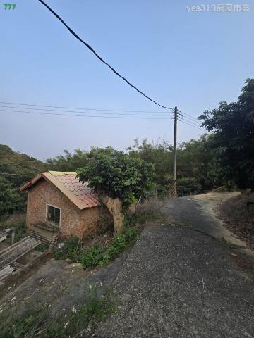 大樹農地-6