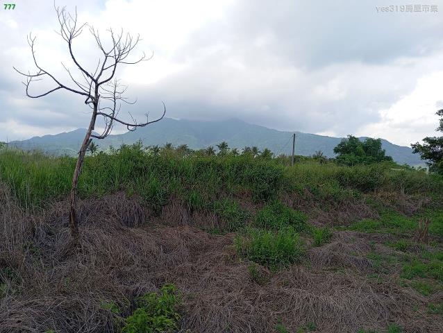杉林農地-1