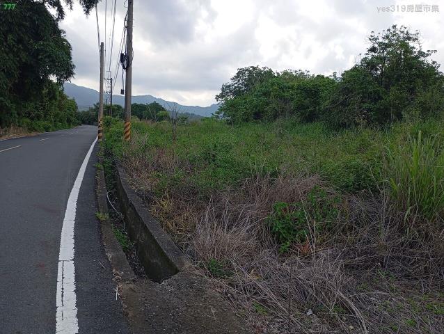杉林農地-4