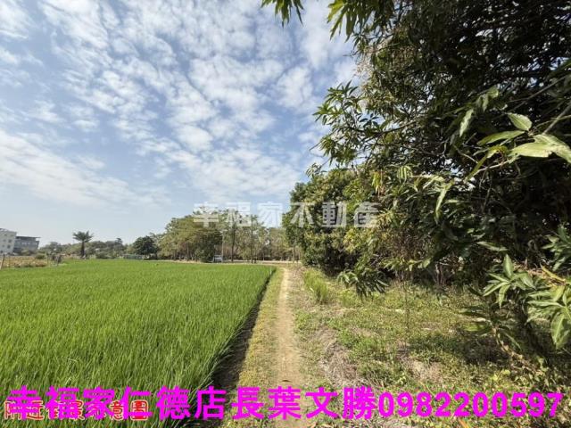 台南歸仁農地-11
