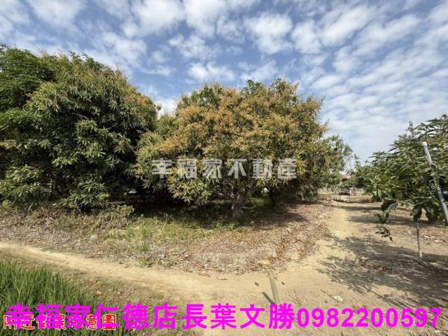 台南歸仁農地-4