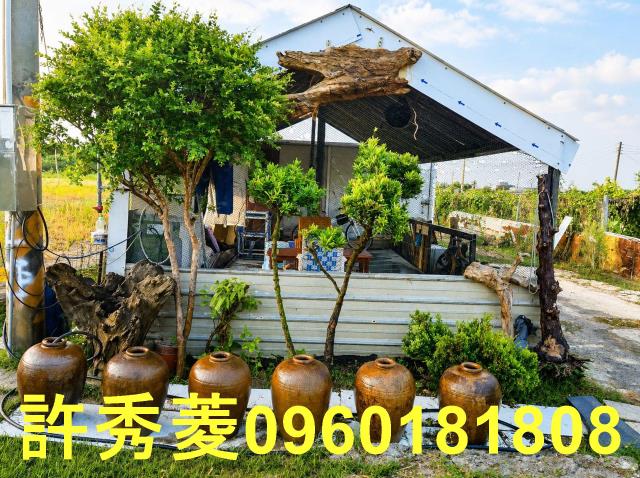 高雄梓官農地-1
