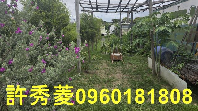 高雄梓官農地-3