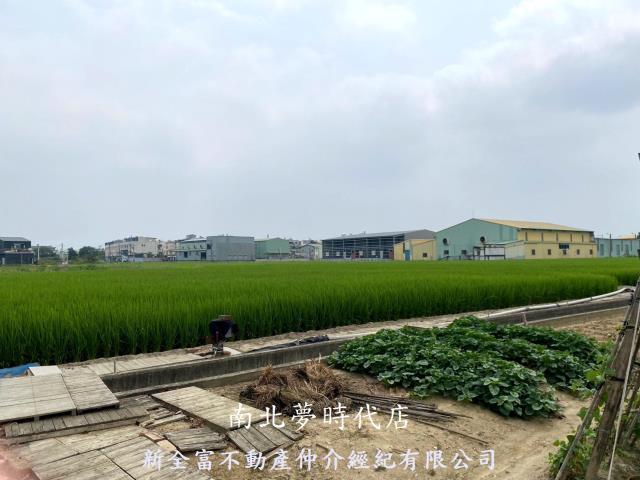西區農地-2