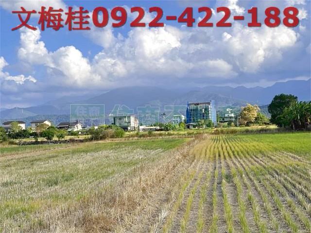 宜蘭三星農地-2