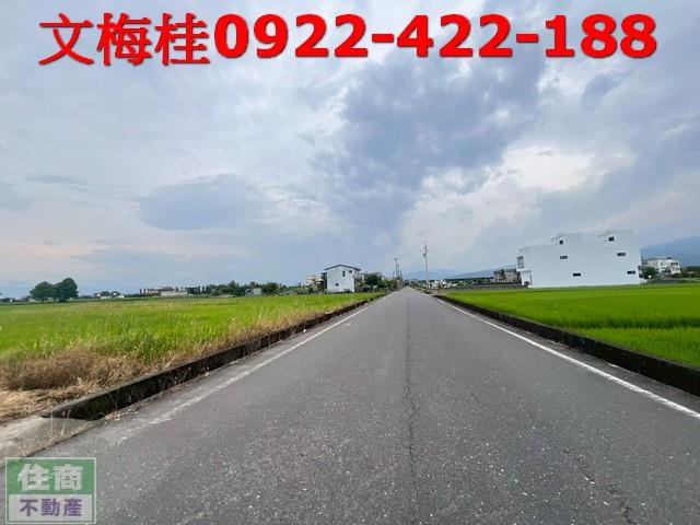 宜蘭壯圍農地-4