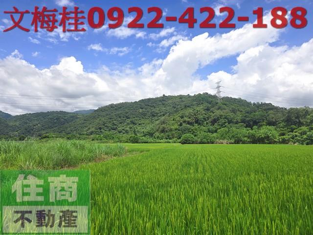 宜蘭員山農地-4