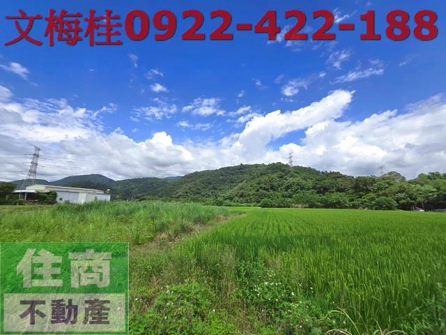 宜蘭員山農地-5