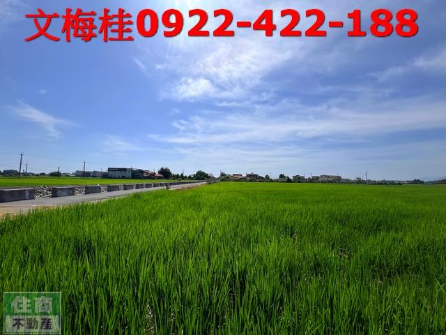 宜蘭宜蘭市農地-1