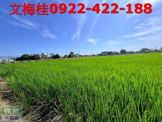 宜蘭宜蘭市農地-2