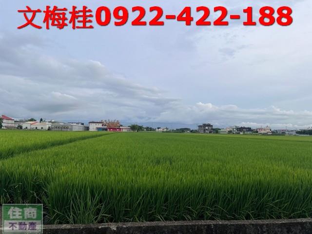 宜蘭壯圍農地-1