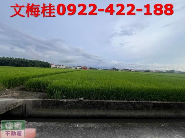 宜蘭壯圍農地-5