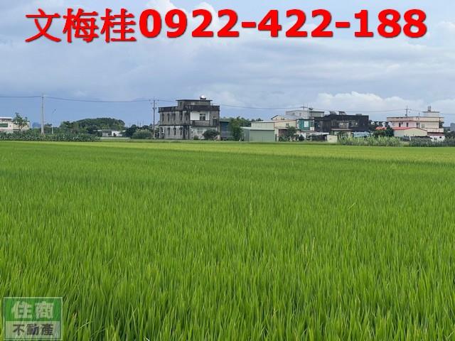宜蘭壯圍農地-9
